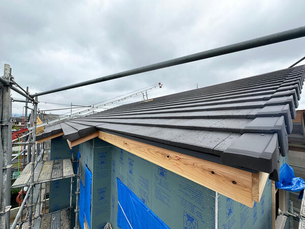 roof20240520.jpg
