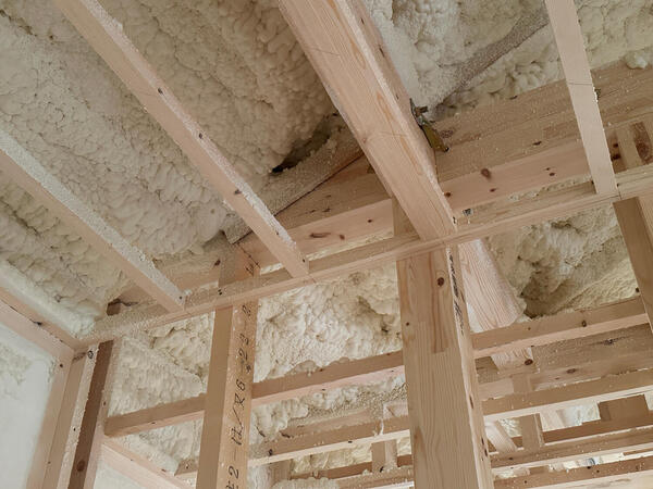 roof20250620.jpg