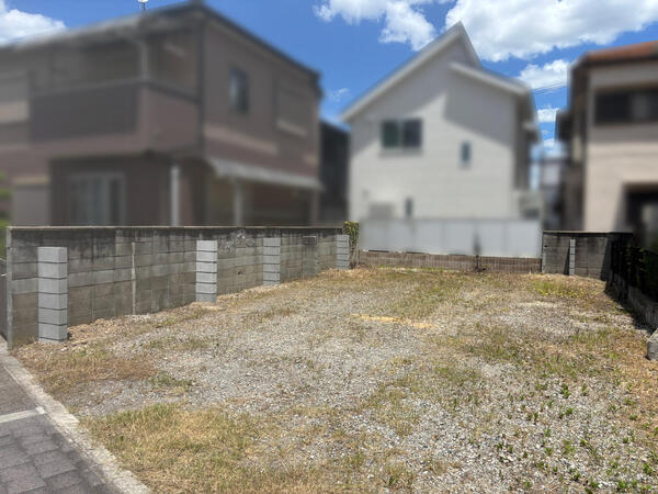 hikae20250712.jpg