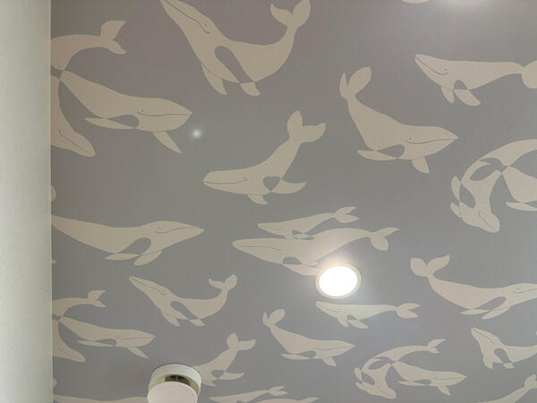 whale20250811.jpg