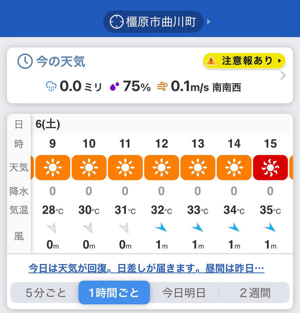 S__108978182.jpg
