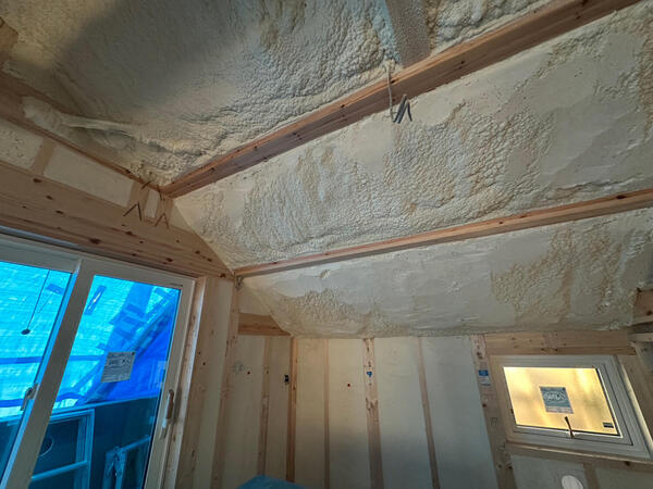 roof20251006.jpg