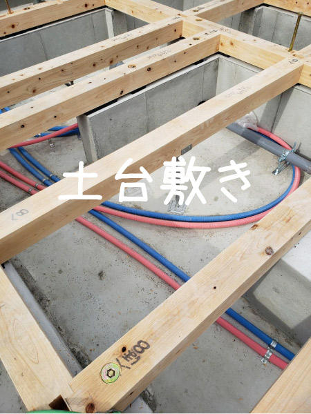 dodai1211.jpg
