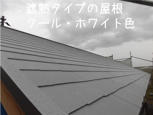 roof0710.jpg